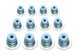 Valve Seal Set of 12 Pcs.
