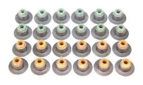 Valve Seal Set of 24 Pcs.