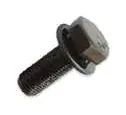Fly Wheel Bolt