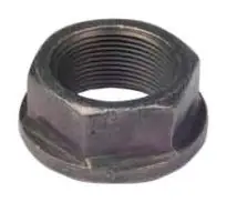 Input Shaft Nut