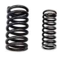 Valve & Compression Spring Set of 24 Pcs