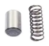 Main Shaft Pin & Spring